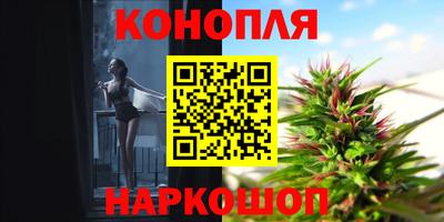 прущие грибы Славгород
